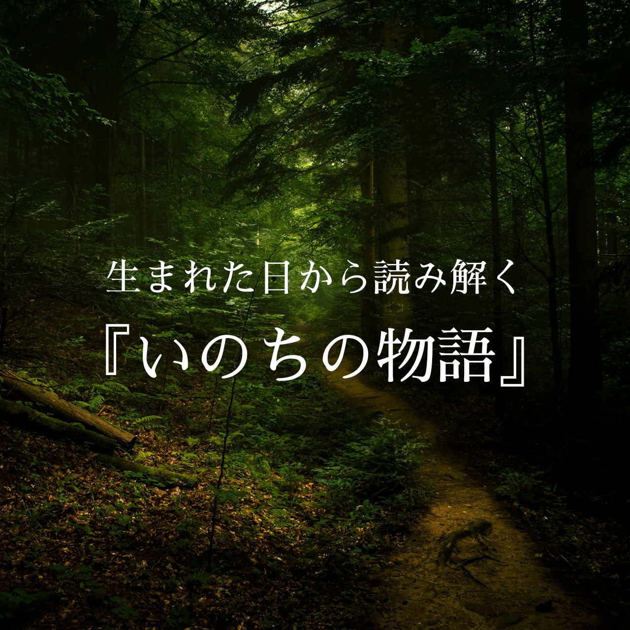 生まれた日から読み解く『いのちの物語』